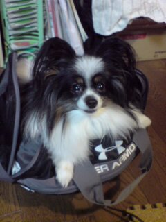 20130311224034.jpg