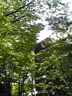 090509_1418~01.JPG