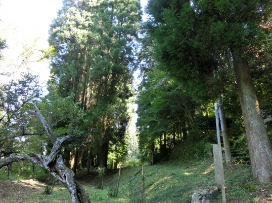 CIMG5575.JPG