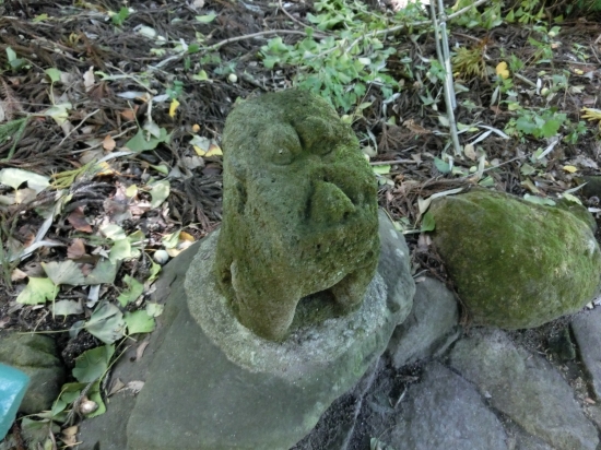 CIMG5578.JPG