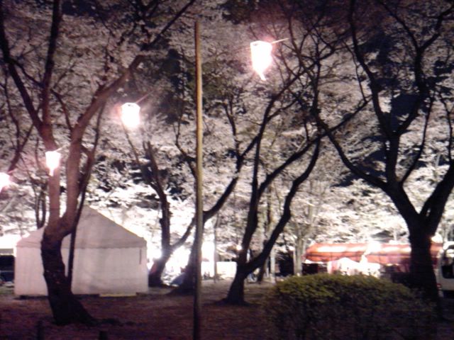 SH3F0014.jpg