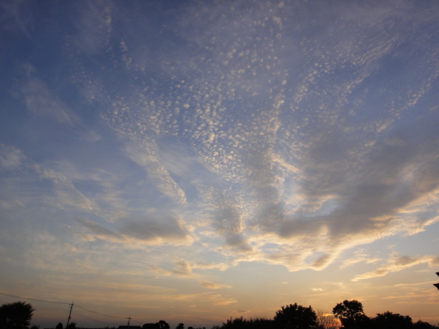 DSC02288.JPG