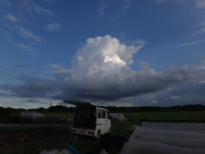 DSC00102.JPG
