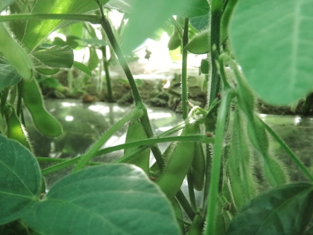 DSC01552.JPG