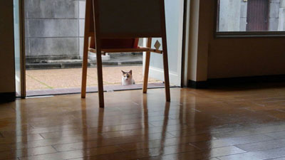 覗かれとる…!!