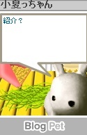 こうさぎ