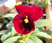 091120_120101.jpg
