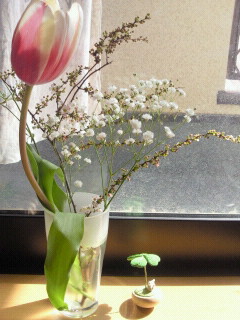 2011030613310000.jpg