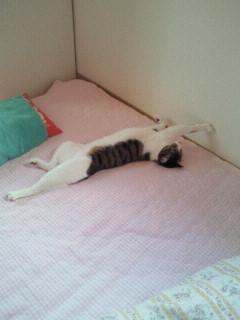 2011070217390001.jpg