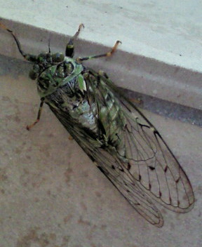 201205311740000.jpg