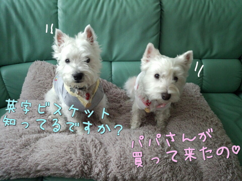 ¥¦¥¨¥¹¥Æ¥£