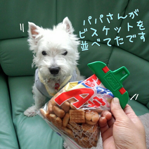 ¥¦¥¨¥¹¥Æ¥£