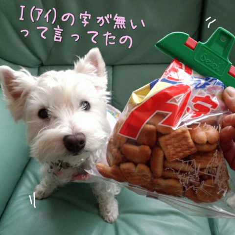 ¥¦¥¨¥¹¥Æ¥£