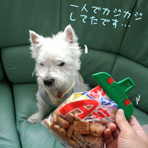 ¥¦¥¨¥¹¥Æ¥£