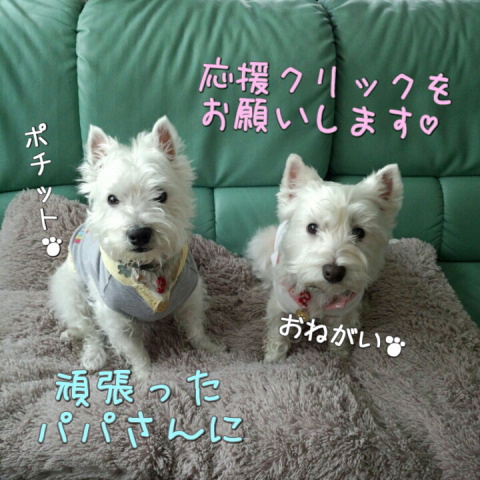 ¥¦¥¨¥¹¥Æ¥£