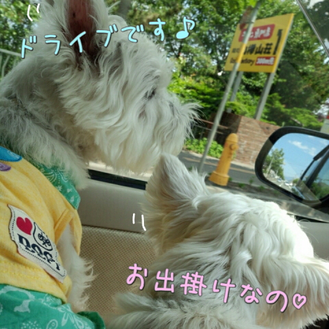 ¥¦¥¨¥¹¥Æ¥£