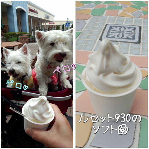 ¥¦¥¨¥¹¥Æ¥£