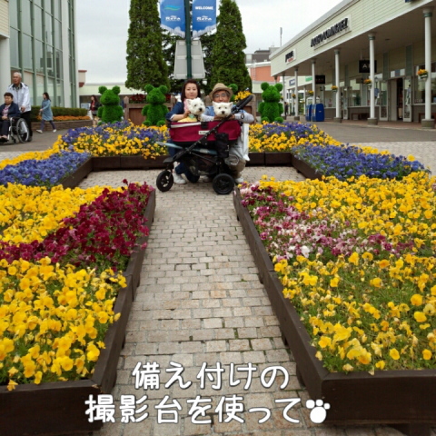 ¥¦¥¨¥¹¥Æ¥£