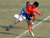 tomy