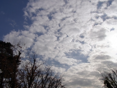 11月の最後の空