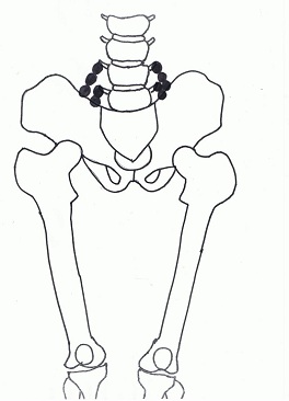腸腰靭帯