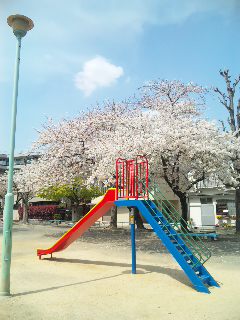 100410_1229111.jpg