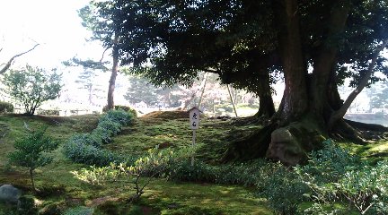 虎石