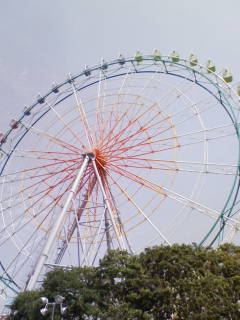 20080801100605.jpg