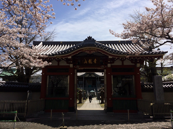 20170412_近所の桜_06.jpg