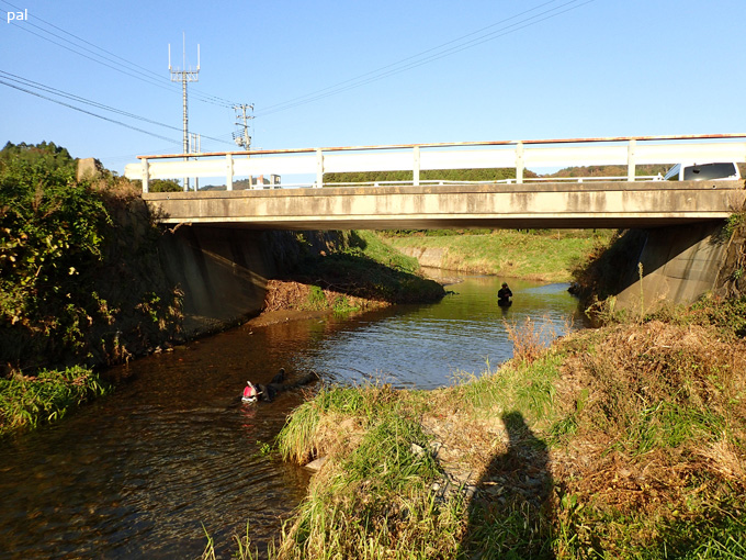 20171103_onagawa_pal_03.jpg