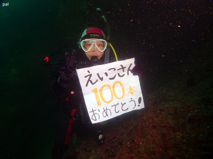 eikoさん100ダイブ!|女川でダイビング