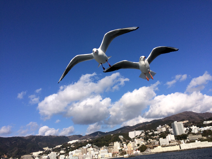 初島でダイビング