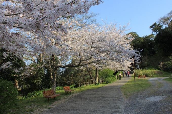 20180331_城山公園_05.jpg