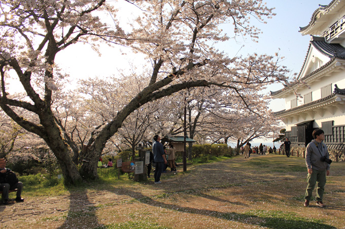 20180331_城山公園_07.jpg