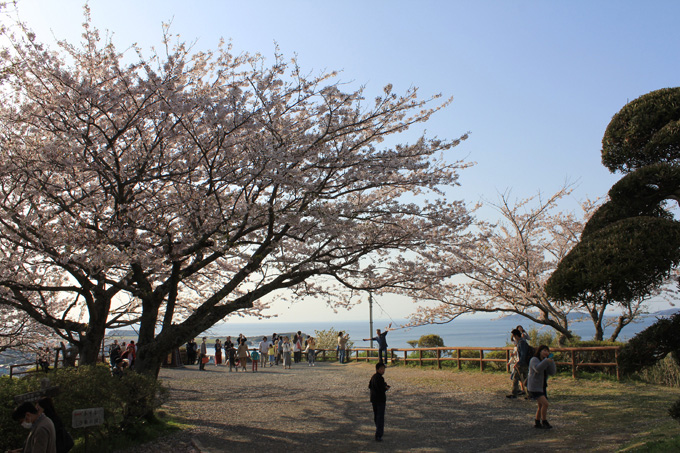 20180331_城山公園_08.jpg