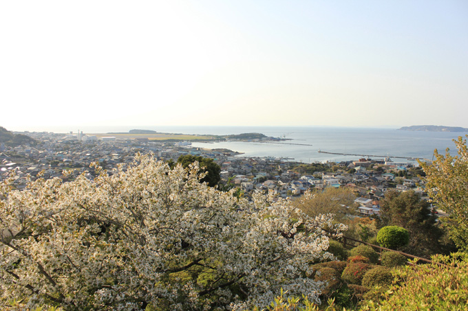 20180331_城山公園_09.jpg