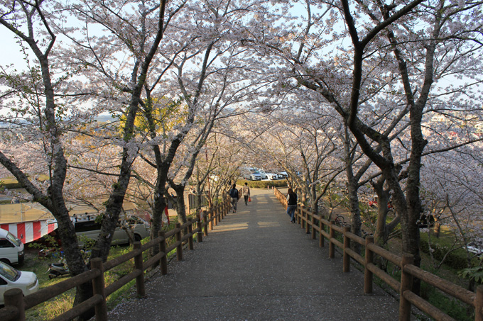 20180331_城山公園_11.jpg