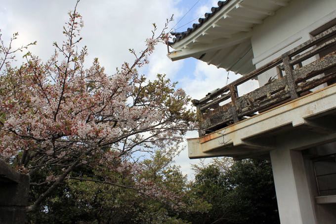 20180401_かっちゃま_大黒山_06.jpg