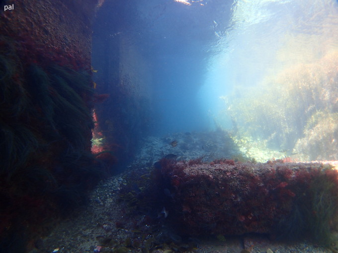 P3240583.jpg