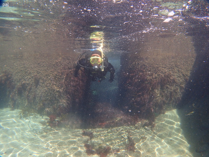 P3240585.jpg