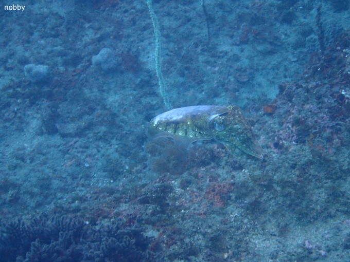 20190302_katuyama_ishikawa_01.jpg
