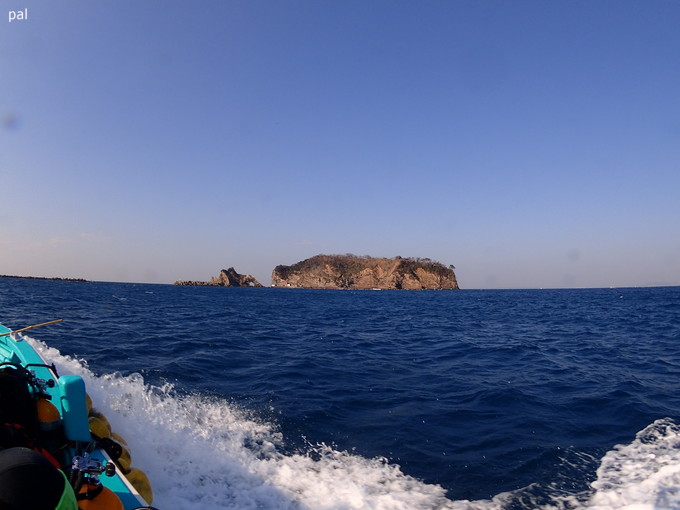20190302_katuyama_pal_01.jpg