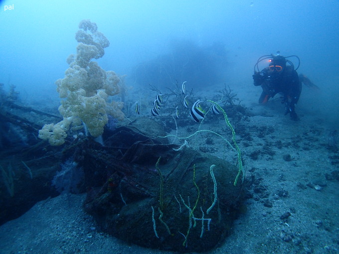 20190302_katuyama_pal_06.jpg