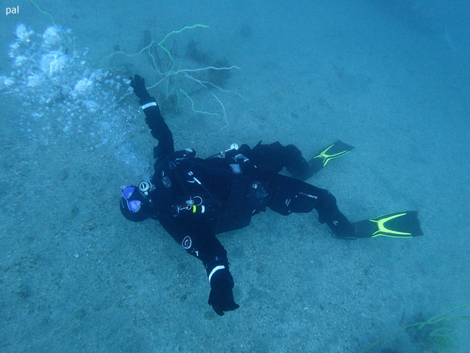 20190302_katuyama_pal_09.jpg