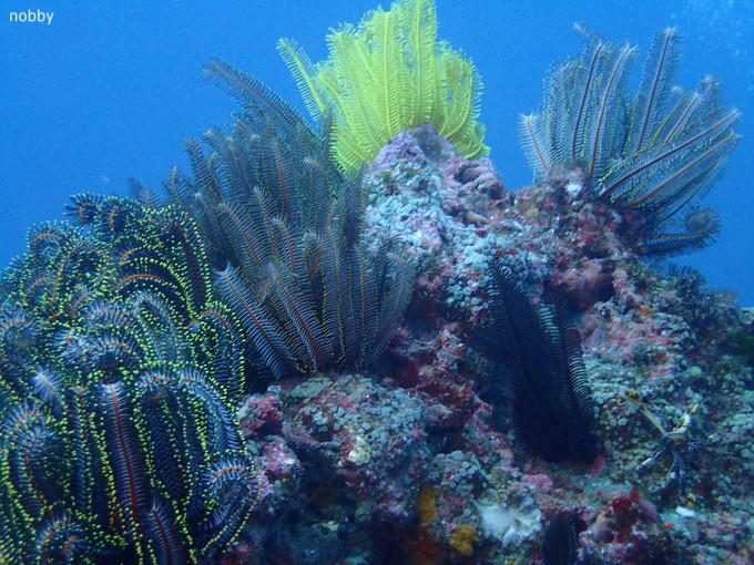 201900216_jyougashima_ishikawa_04.jpg