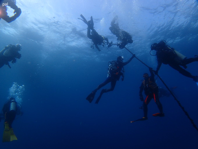 201900216_jyougashima_pal_01.jpg
