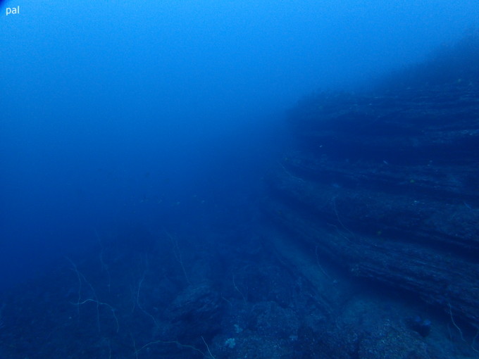 201900216_jyougashima_pal_02.jpg
