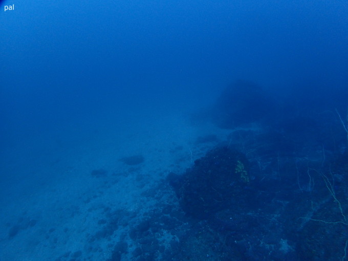 201900216_jyougashima_pal_04.jpg