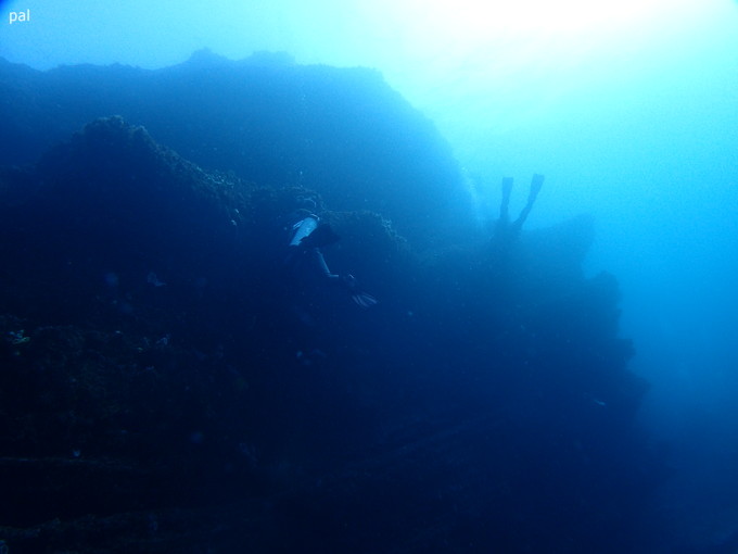 201900216_jyougashima_pal_05.jpg