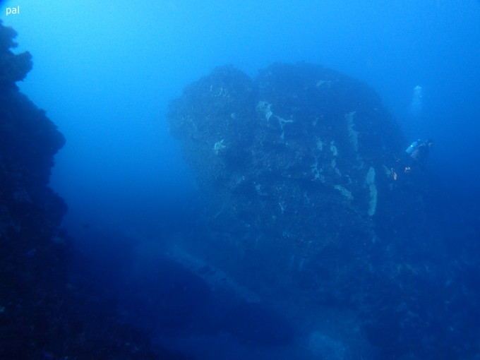 20190206_nishikawana_pal_01.jpg